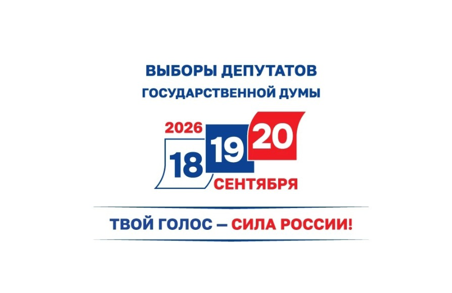 Выборы